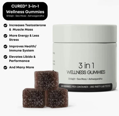 Shilajit 3-in-1 Gummies for Men